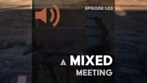 Episode 3: A mixed meeting feature image